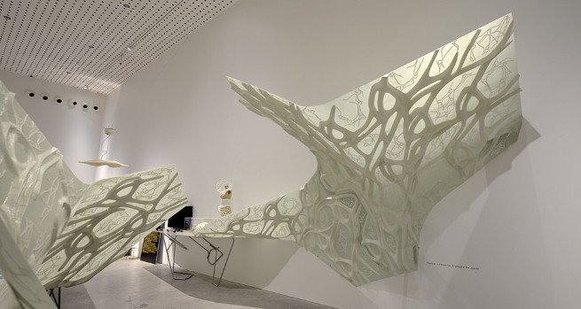 Composite Wing, Roland Snooks